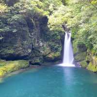 【高知】透明度抜群の滝壺で仁淀ブルーの絶景を