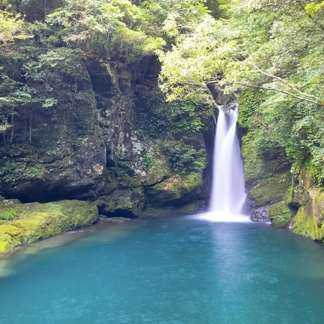【高知】透明度抜群の滝壺で仁淀ブルーの絶景を