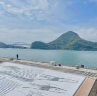 ชมซากุระที่สถานีรถไฟ MISUMI station