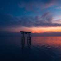 湖中に佇む大鳥居（白鬚神社・滋賀県高島市）
