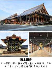 【京都】大宮に泊まる、行きたい場所6選