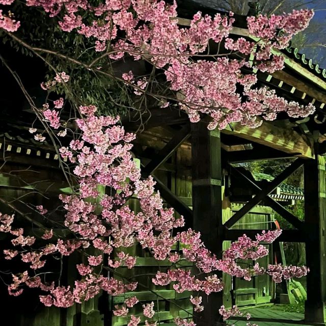 Enjoy Night Views in Kyoto City Streets 🌃✨