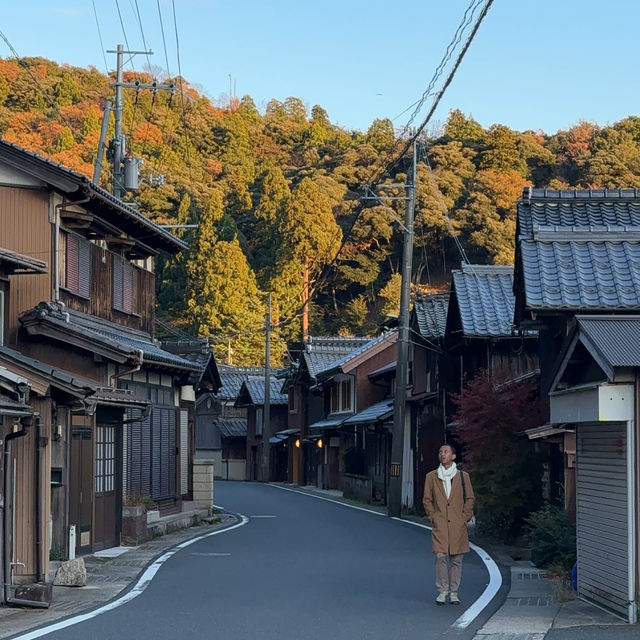 🌟 Exquisite Amanohashidate, A small hidden gem city in Kyoto 🇯🇵