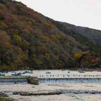 An early autumn trip to arashiyama bamboo forest