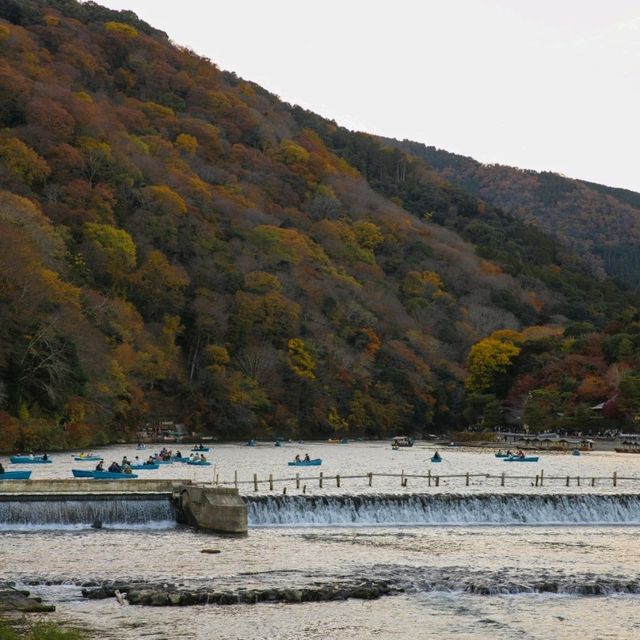 An early autumn trip to arashiyama bamboo forest