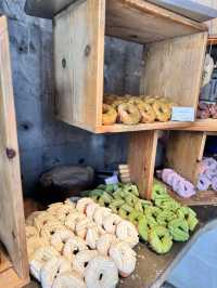 【福岡】超人気店！生ドーナツ専門店🍩
