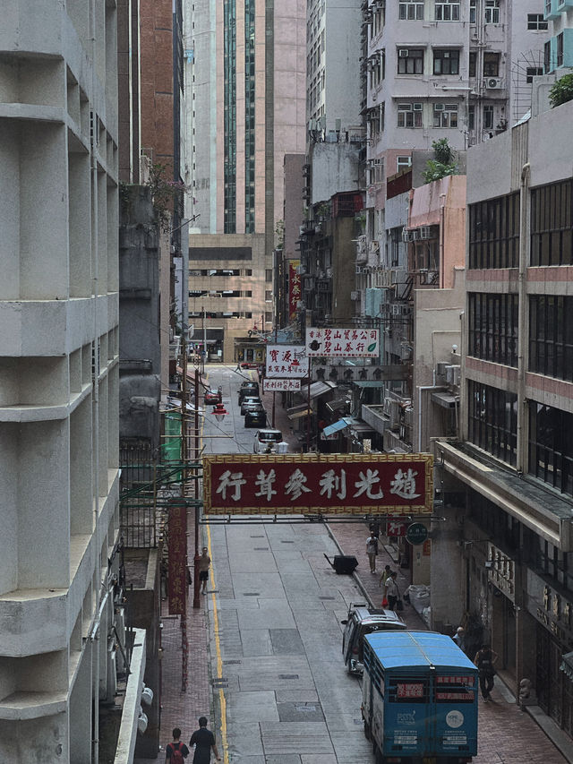 🇭🇰드디어 봤다! 인생 최고의 홍콩 야경, 단 하루 여행으로도 충분해요