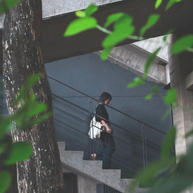台中 小眾景點 清水模建築 好喜歡