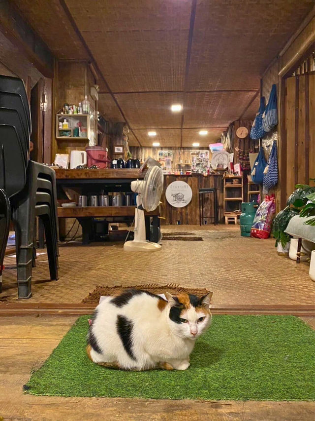 🛖 บ้านธารชีวี Tarnchevee