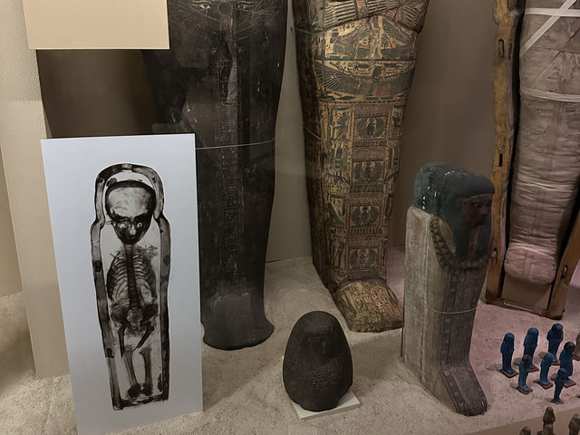 芝加哥的The Field Museum：古埃及文明展示，豐富知識和視覺享受