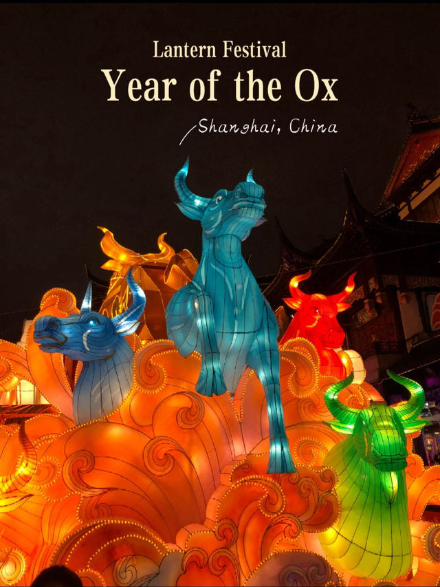Year of the Ox at Shanghai Yuyuan Lantern Festival 🇨🇳