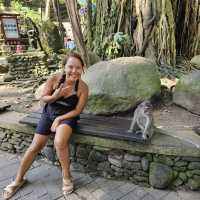 Looking for a friendly Pet at Bali Reptile Park