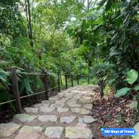 Rifle Range Nature Reserve: A Hidden Gem for Hikers 🇸🇬