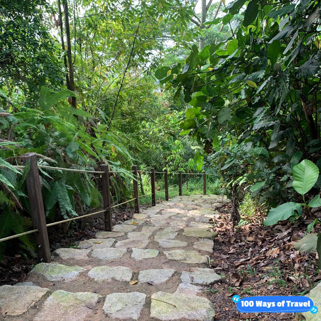 Rifle Range Nature Reserve: A Hidden Gem for Hikers 🇸🇬