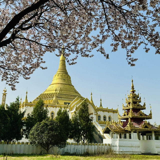 Encountering the Most Beautiful Spring at White Horse Temple