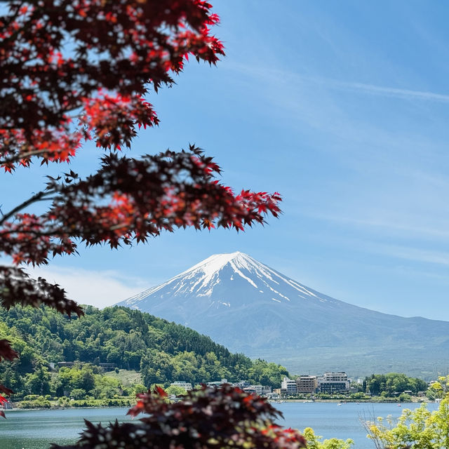 Fuji on May 