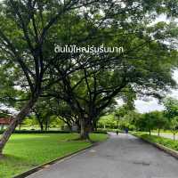 สวนหลวงร.9 ||  ศรีนครินทร์ 