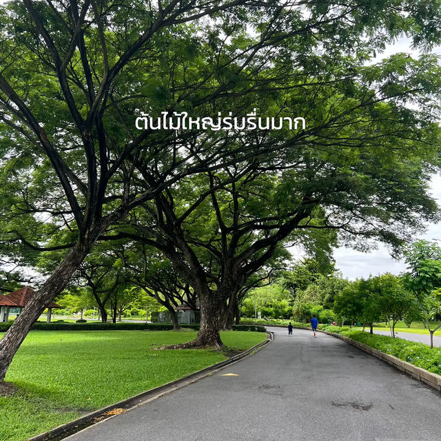 สวนหลวงร.9 ||  ศรีนครินทร์ 