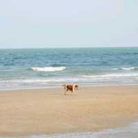 BAMP: Beach&Cafe คาเฟ่บีชแคมป์ปิ้งริมทะเลหัวหิน