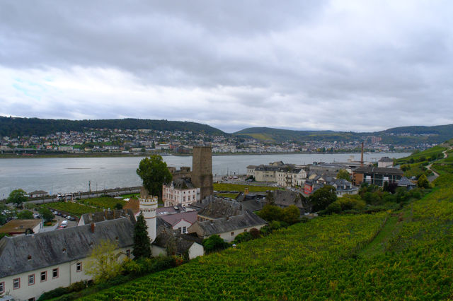 德國Rüdesheimer Berg Roseneck葡萄園給愛葡萄酒的人