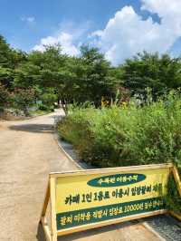 배롱나무 유럽수국피는 루몽드수목원