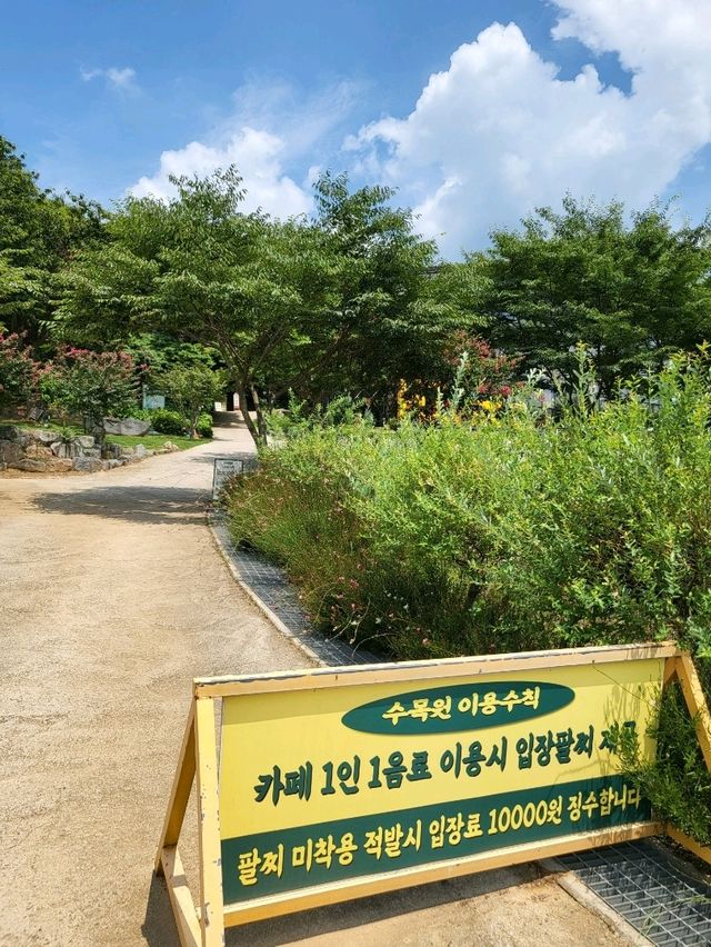 배롱나무 유럽수국피는 루몽드수목원