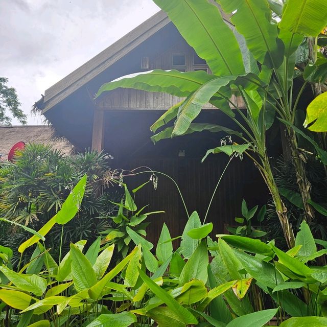 ที่พักสวย วิวหลักล้าน ที่เหมาะกับหน้าฝนสุดๆ