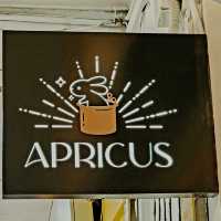 The Apricus Coffee & Food Co.