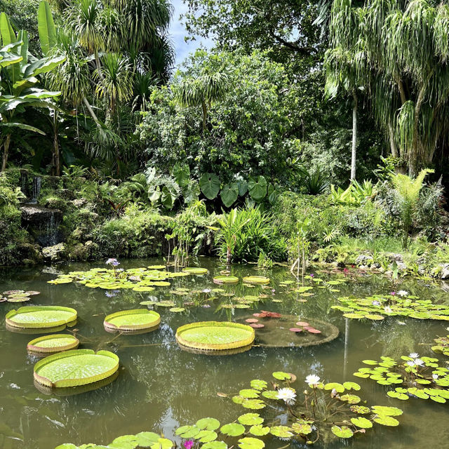 Fairchild Tropical Botanic Garden - Miami’s Lush Green Haven