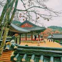 Haeinsa Temple