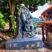 【嘉義】龍隱寺：周圍被茂密的森林包圍，遠離城市的喧囂