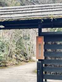 【箱根】定番だからこそゆっくり楽しめる日帰りプラン