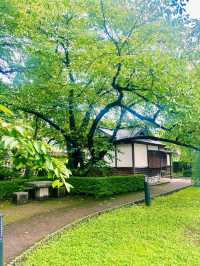 【日本東北】角館武家屋敷：陸奧小京都，江戸時代的風情縮影