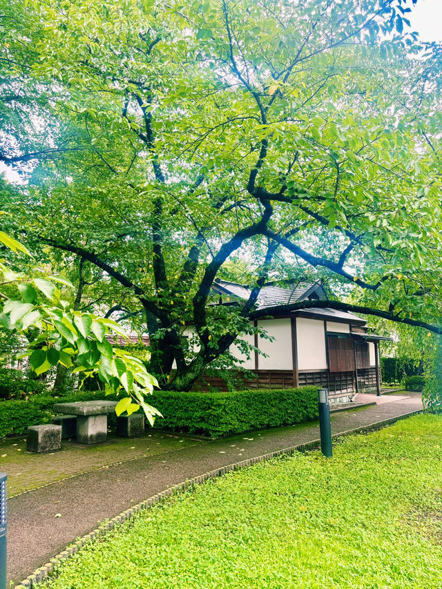 【日本東北】角館武家屋敷：陸奧小京都，江戸時代的風情縮影