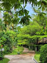 🏖️Khao Lak Wanaburee Resort พังงา