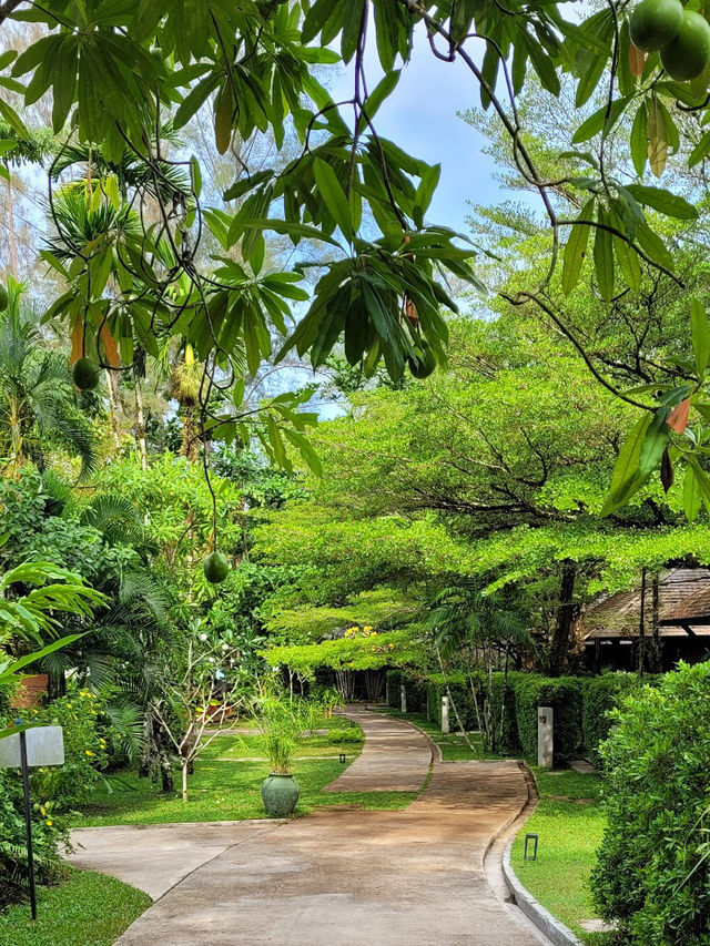 🏖️Khao Lak Wanaburee Resort พังงา