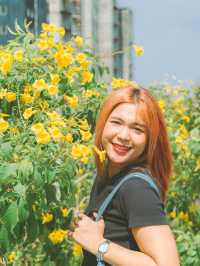 🌅 มุมถ่ายรูปพัทยาสุดฮิตฟีลเกาหลี ปูซาน