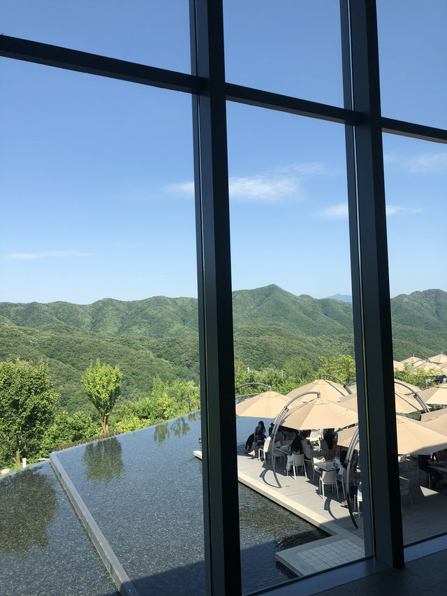 하늘, 나무, 예술🌳 완벽한 3박자 데이트코스 뮤지엄 산