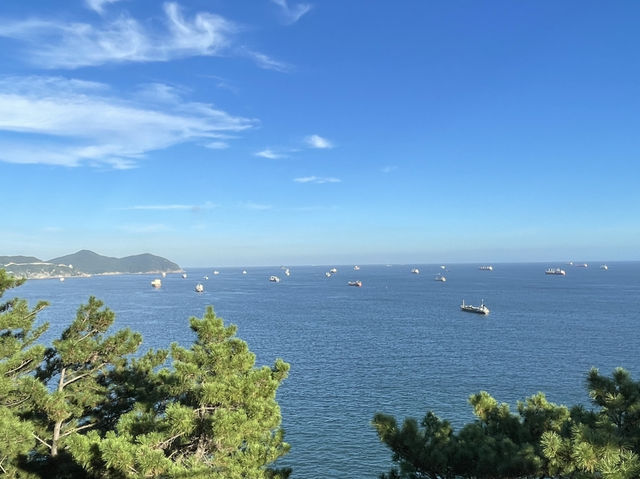韓國釜山 松島灣纜車站 송도베이스테이션(송도해상케이블카)