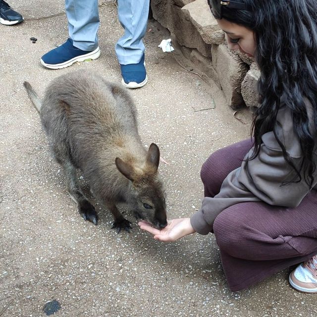 sensational display of animal love!! 