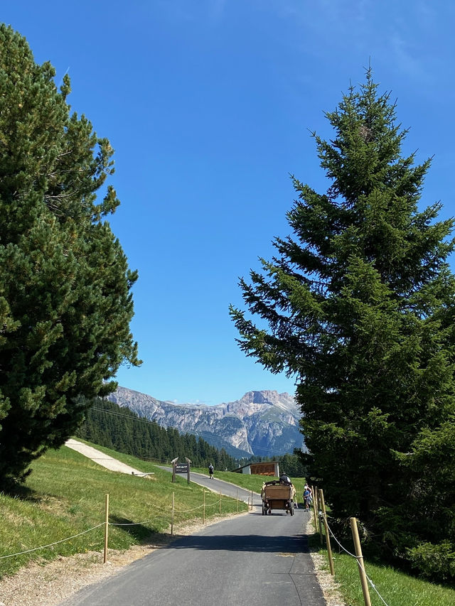 🇮🇹多洛米蒂旅行·人間天堂Alpe di Siusi 