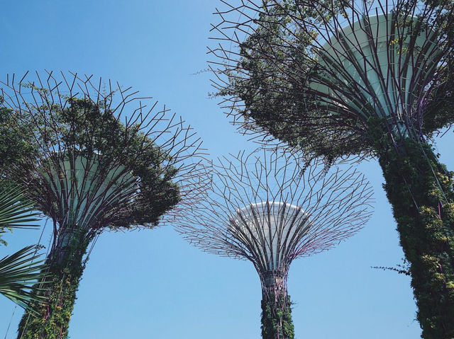 Gardens by the Bay