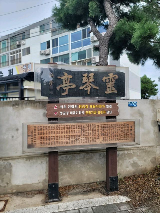아름다운 속초바다보며 쉬어가는 영금정🩵