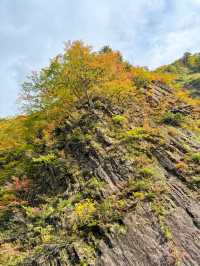 【新潟】🍁 秋の絶景！紅葉に包まれた清津峡渓谷トンネル 🍁