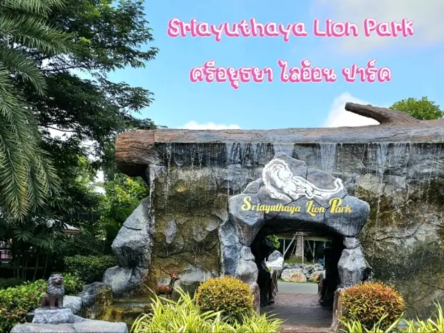 ศรีอยุธยา ไลอ้อน ปาร์ค: ผจญภัยในสวนสัตว์