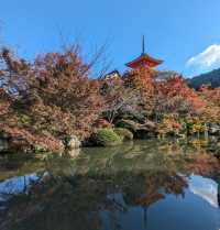 <京都 清水寺> 🇯🇵🍂名滿天下的賞楓勝地！ 