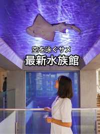 📍 潮境智能海洋館 iOCEAN
