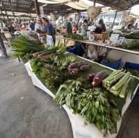 A Cozy & Fun Chiang Mai Daytime Market!