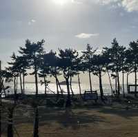 신안 너 좀 달라보인다?