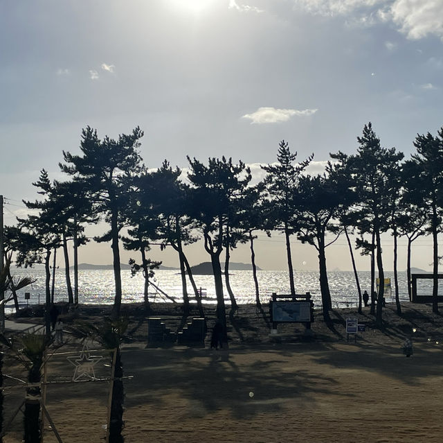 신안 너 좀 달라보인다?